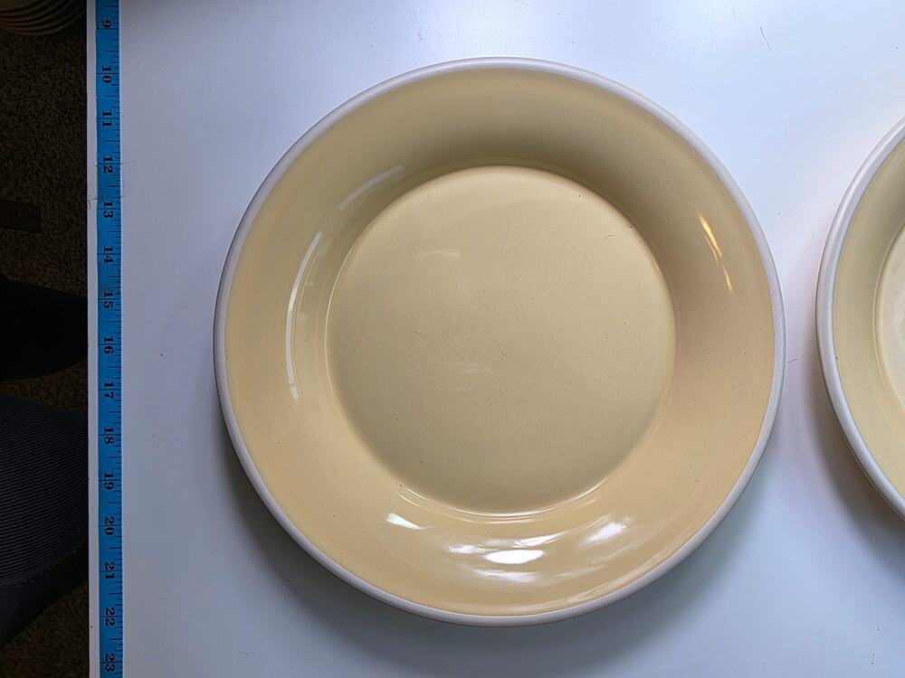 SONOMA Life + Style Mendocino Butter 11 3/4" Dinner Plate Heavy - set of 2